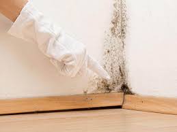 Mold Documentation for Insurance Claims in Susitna North, AK